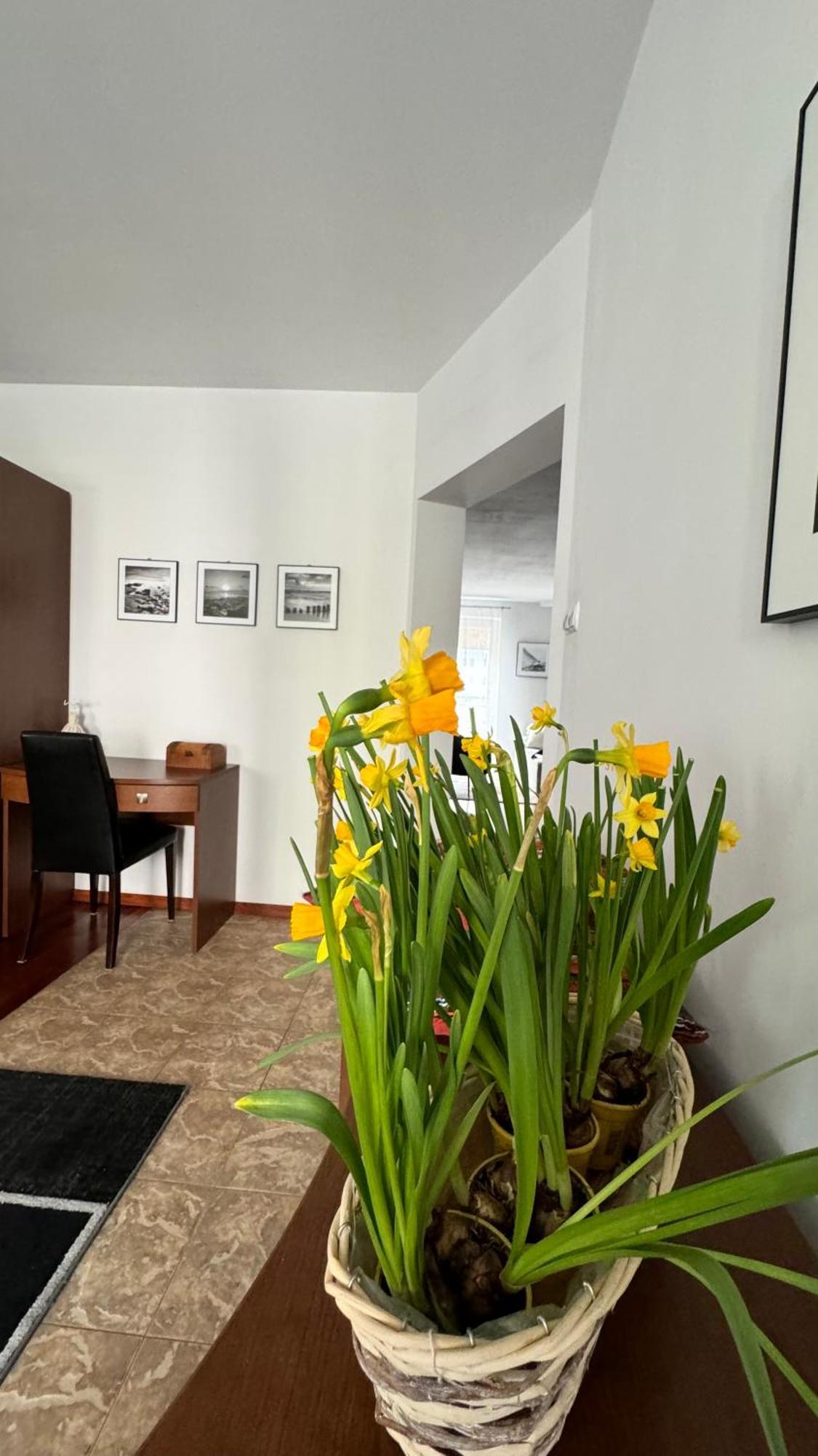 Apartament Rodzinny Kolobrzeg Exterior photo